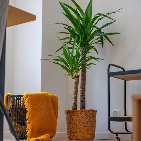 公寓 Modern Downtown With Great Views